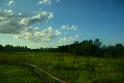 DSC_7807 (Large).JPG